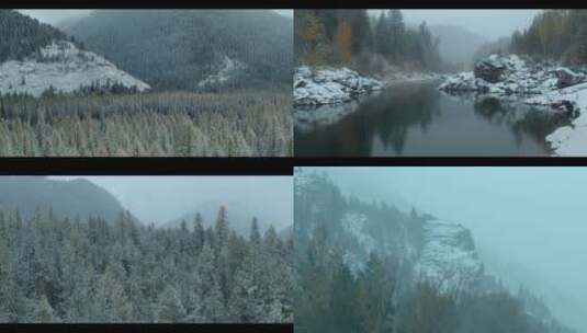 冬天下雪大雪纷飞森林下雪白雪雾气风雪高清在线视频素材下载