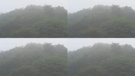 清晨山林雾气弥漫高清在线视频素材下载