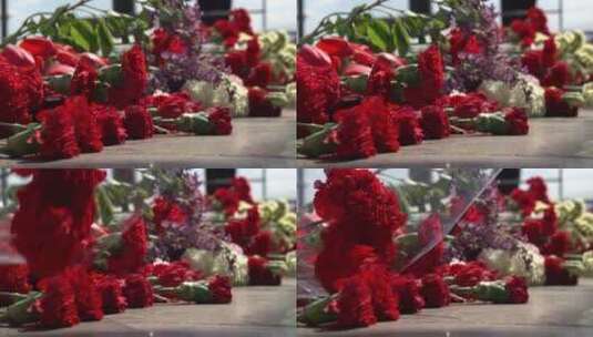 红色的康乃馨花高清在线视频素材下载