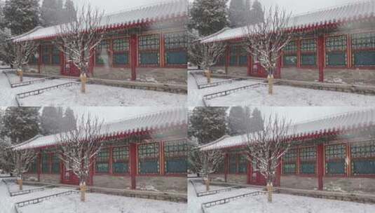 北京颐和园大雪中的平房高清在线视频素材下载