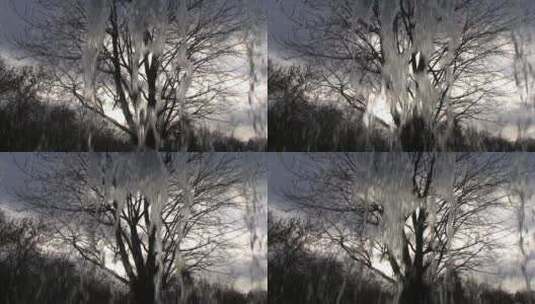 一棵雪树延时视频高清在线视频素材下载