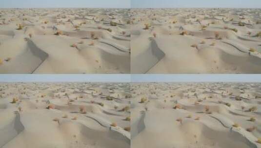 广阔的新疆塔克拉玛干沙漠高清在线视频素材下载