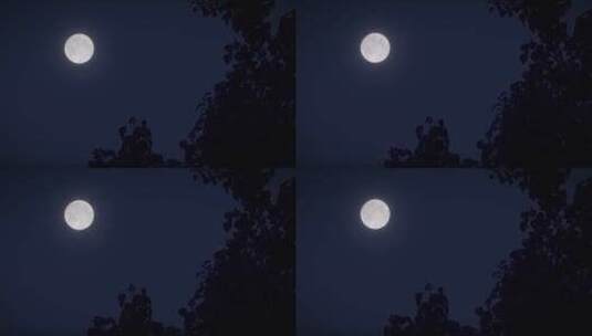 农村乡村夜晚月夜月亮中秋圆月视频素材高清在线视频素材下载
