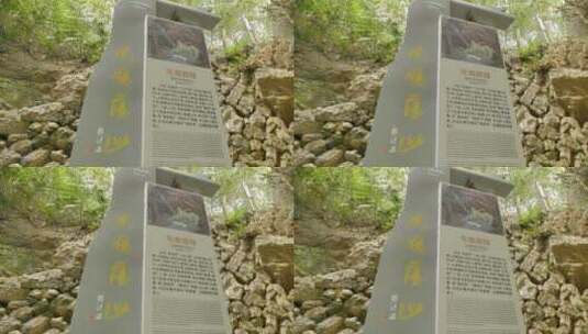 温州南雁荡山自然风景高清在线视频素材下载