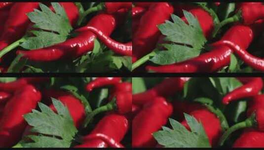 有机红辣椒和一根芹菜的特写视频高清在线视频素材下载