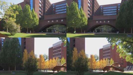 4K移轴拍摄北京语言大学秋季校园风光高清在线视频素材下载