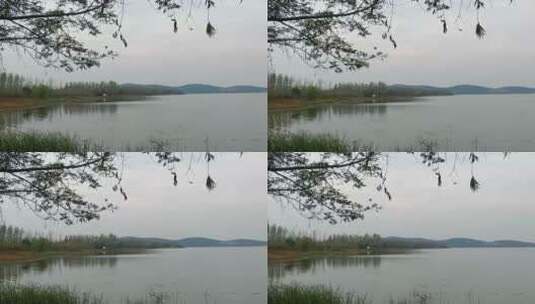 安静的湖面高清在线视频素材下载