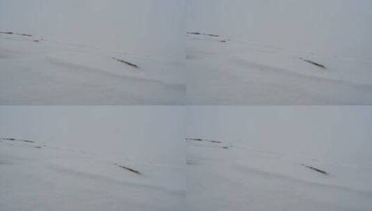 戈壁山坡飞雪高清在线视频素材下载