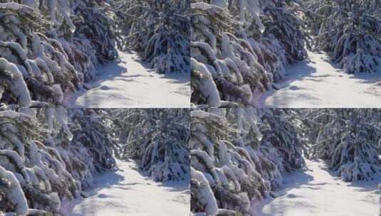 大自然冬天冰雪覆盖的森林高山雪山美景特写高清在线视频素材下载