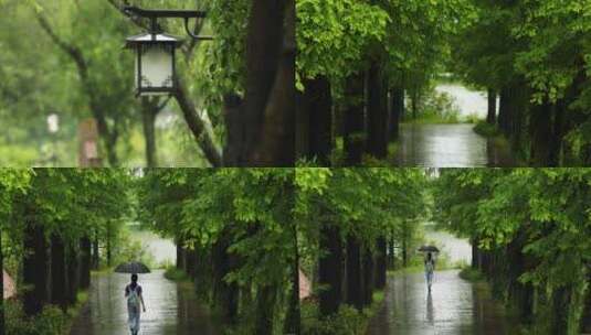 江南初夏下雨雨滴树叶空镜高清在线视频素材下载