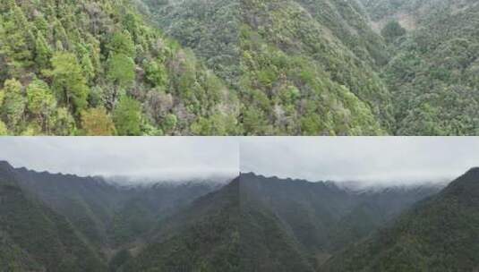 广东清远连山山顶植被航拍高清在线视频素材下载