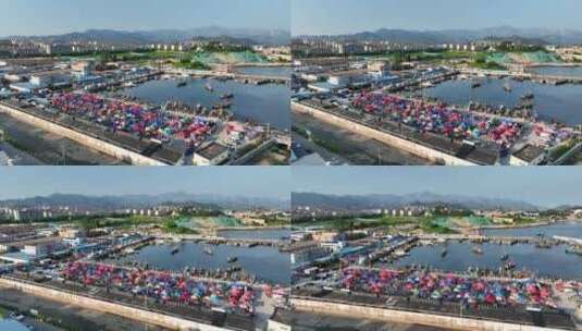 航拍码头海鲜市场高清在线视频素材下载