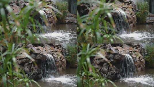 江南烟雨园艺中国海棠树花锦鲤景观设计花坛高清在线视频素材下载