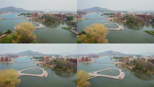 清晨的上海辰山植物园高清在线视频素材下载