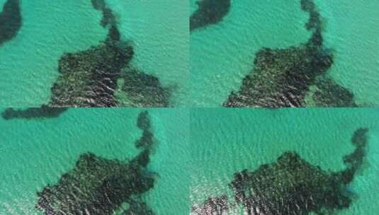 海底白沙上的海藻和珊瑚礁高清在线视频素材下载