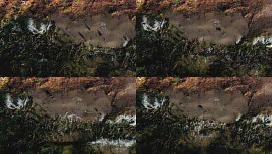 苏干湖的候鸟高清在线视频素材下载