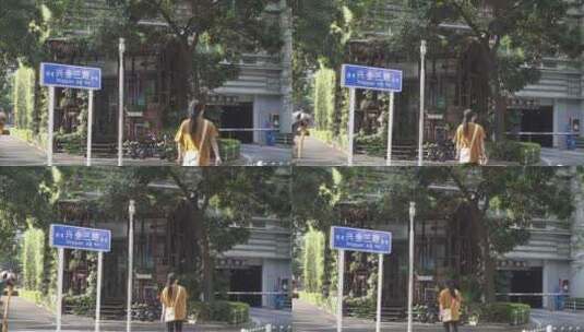 深圳蛇口的街道高清在线视频素材下载