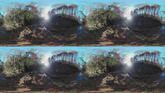 VR全景视频：秋天的林间小溪高清在线视频素材下载