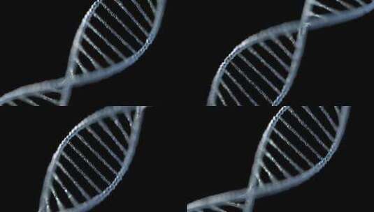 DNA序列渲染视频高清在线视频素材下载
