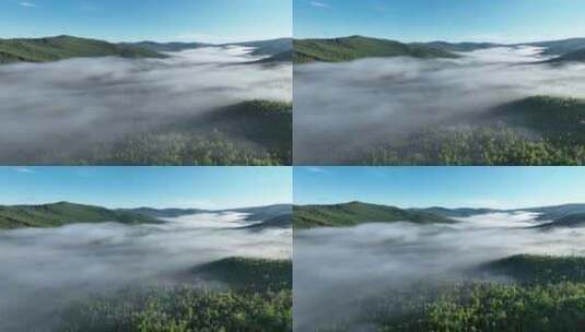 大兴安岭自然风光森林云雾林海晨景高清在线视频素材下载