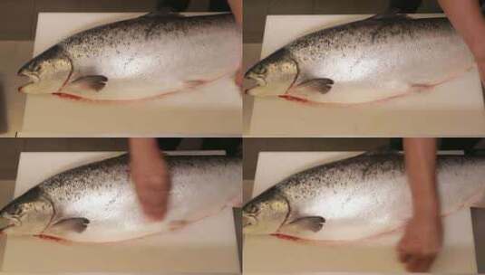 三文鱼  鲑鱼高清在线视频素材下载