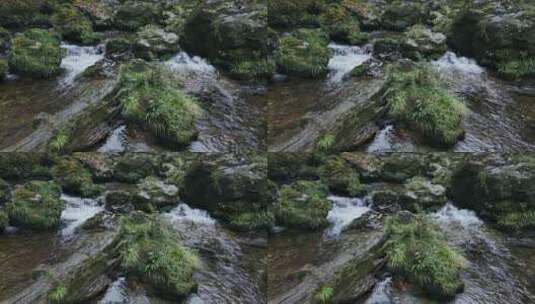 岩石苔藓溪流小河高清在线视频素材下载