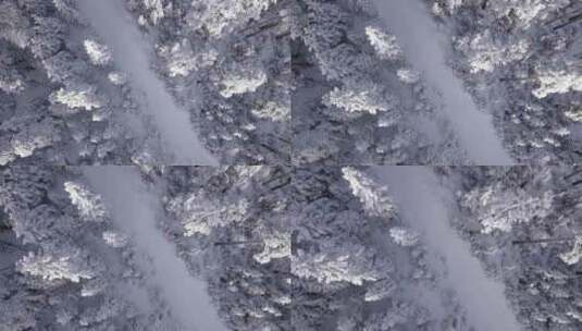 4k雪景航拍白色森林道路向下推进高清在线视频素材下载