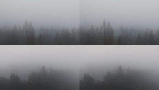 浓雾清晨高清在线视频素材下载