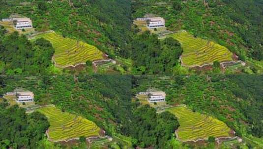 惠州九龙峰角峰村3高清在线视频素材下载