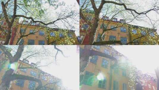 欧洲的房子和树在明亮的阳光高清在线视频素材下载