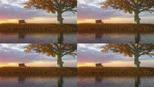 秋天的日落高清在线视频素材下载