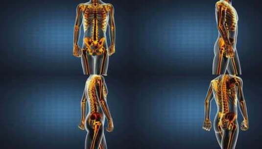 人体骨骼X线扫描高清在线视频素材下载