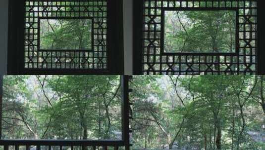 典雅窗景生态绿色高清在线视频素材下载