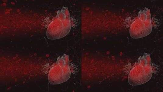心脏和血细胞高清在线视频素材下载