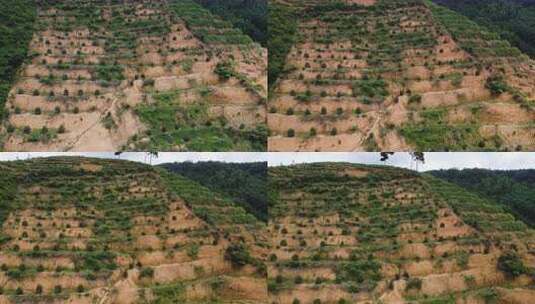 东南亚为农业开垦的山坡上的森林砍伐高清在线视频素材下载