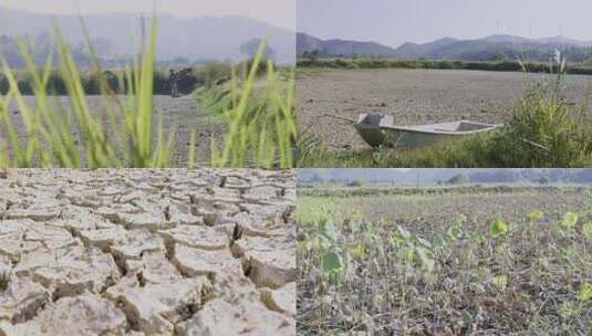 农民在干旱田地查看高清在线视频素材下载