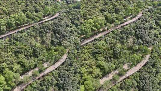 广东观音山国家森林公园第十二届登山大赛高清在线视频素材下载