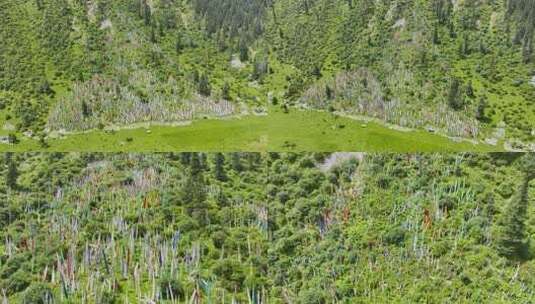 川西高原五彩经幡挂在山上飘舞高清在线视频素材下载