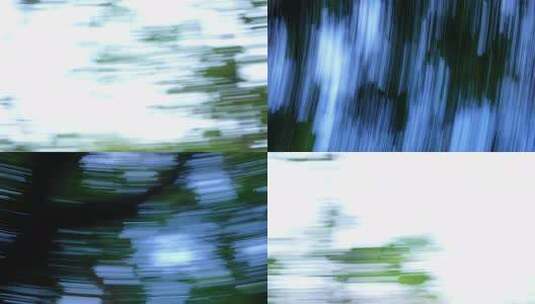 森林甩镜头 转场镜头树林 快切 过渡镜头高清在线视频素材下载