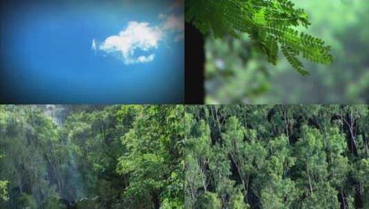 蓝天白云瀑布森林树木高清在线视频素材下载