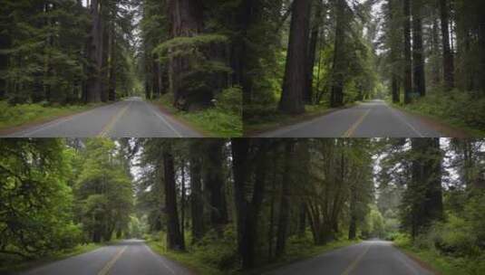 驾驶空旷的道路穿过美国加利福尼亚州红杉国高清在线视频素材下载