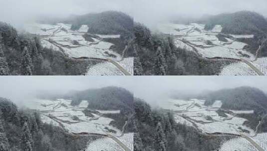 湖北利川文斗镇谪仙茶园雪后美景如画高清在线视频素材下载