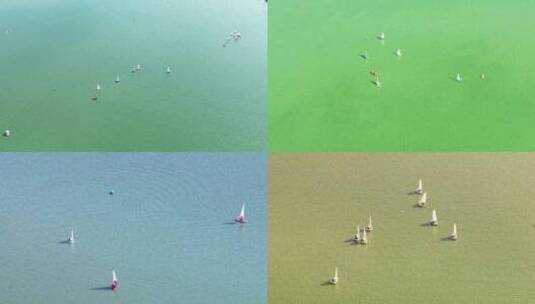 南京市玄武湖帆船航拍高清在线视频素材下载