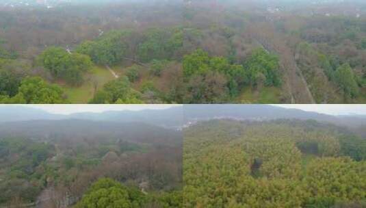 杭州植物园风景视频素材高清在线视频素材下载