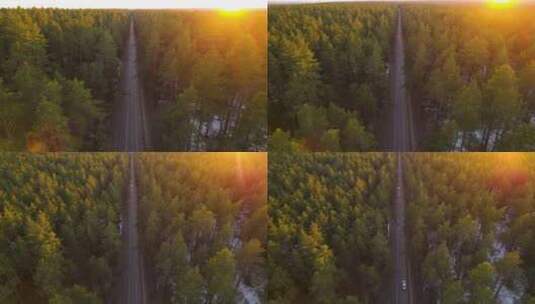 4k风景航拍日出时笔直的森林公路高清在线视频素材下载