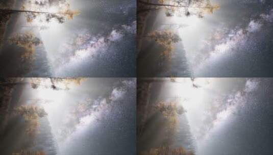 森林上空的银河系高清在线视频素材下载