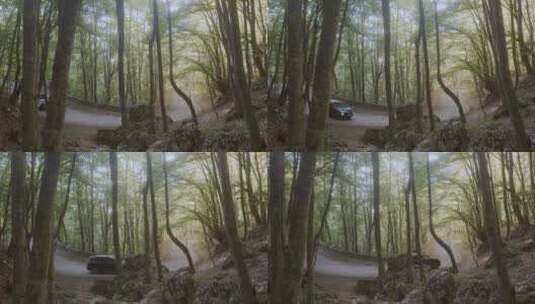 一辆车穿行在树林中高清在线视频素材下载