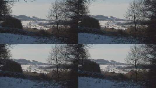 积雪覆盖的乡村景观高清在线视频素材下载