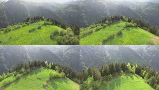 山顶上的绿色山谷高清在线视频素材下载