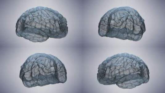 医学 大脑 脑科学 三维 脑ct1 模型高清在线视频素材下载